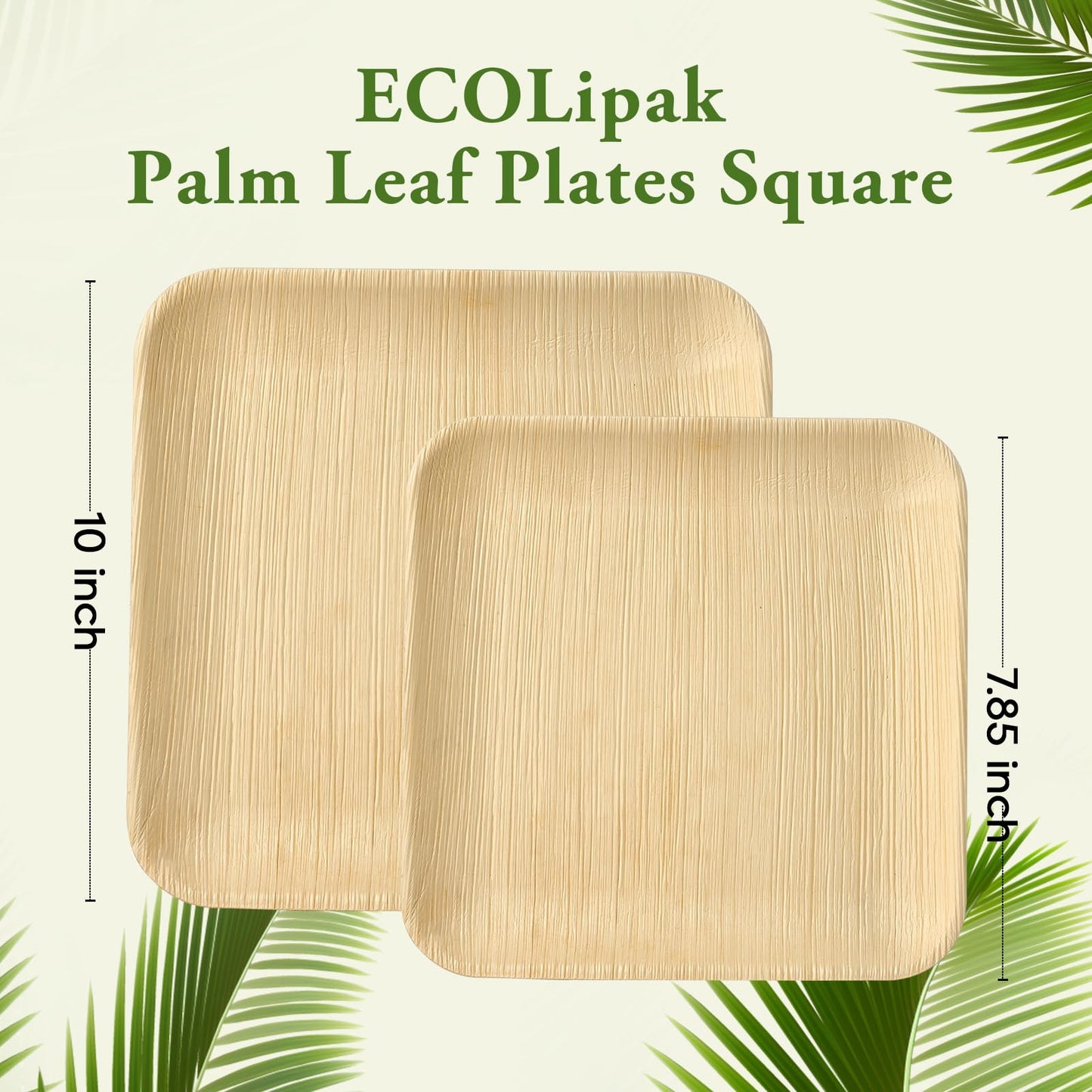 ECOLipak 6 Inch Compostable Palm Leaf Plate Like Bamboo Plate, 100 Pack Disposable Biodegradable Plates Suitable for Party, Dinner