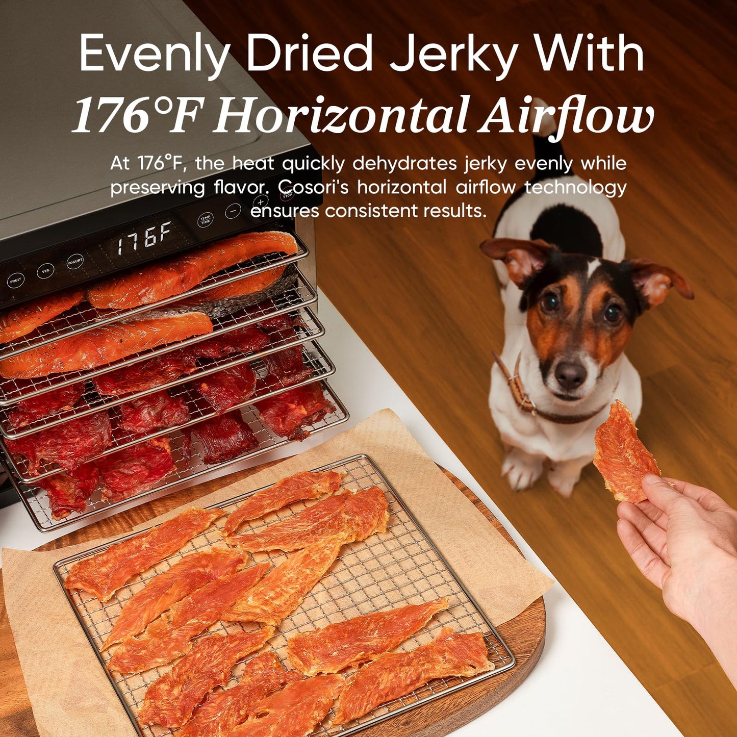COSORI Food Dehydrator, Bigger Than 7 Trays With Large 6.5" Drying Space, 600W Power Saves More Time Than 480W, 165°F Dehydrated Dryer for Jerky, Dog Treats, Herbs, Meat, Fruit, and Yogurt, Silver